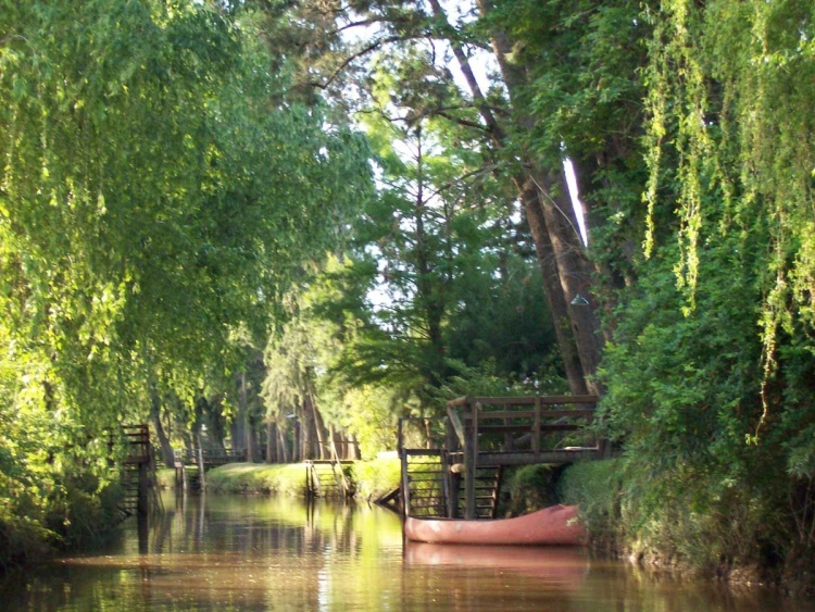 Los encantos de Tigre: naturaleza, gastronomía, compras y arte muy cerca de la Ciudad de Buenos Aires