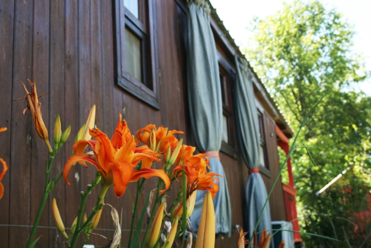 Alojamientos sustentables para disfrutar de la tranquilidad del campo y el río
