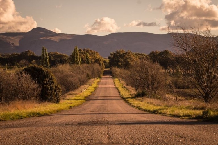 Sierra de la Ventana: un lugar de cerros, bosques, valles, vertientes de agua y pinturas rupestres