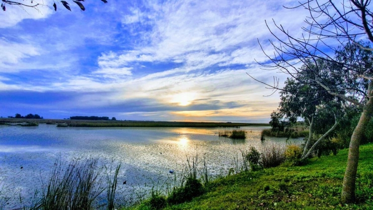  Camino a Mar del Plata, General Guido ofrece una parada ideal para un ambiente de campo y tranquilidad