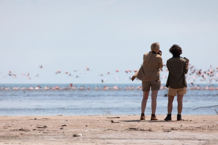 Cuándo es el último fin de semana largo del año