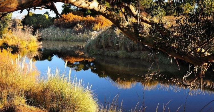 Conocé el pueblo de Buenos Aires que ofrece cascadas y arroyos naturales