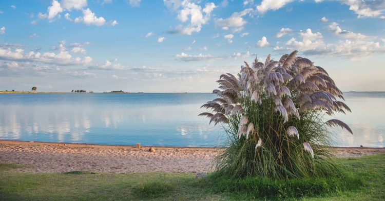La laguna "secreta" de la Provincia que pocos conocen