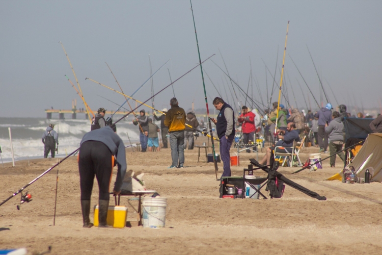 Todo listo para la 24ª "Fiesta Nacional de la Brótola" en Villa Gesell