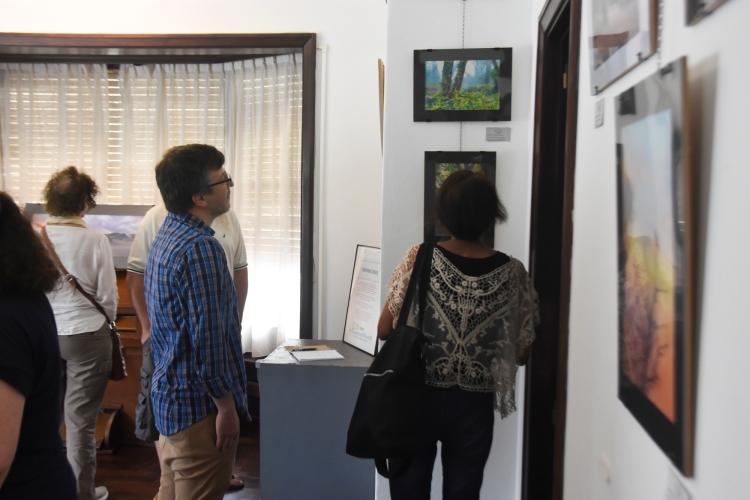 Nueva muestra de arte en el Chalet de Don Carlos de Villa Gesell