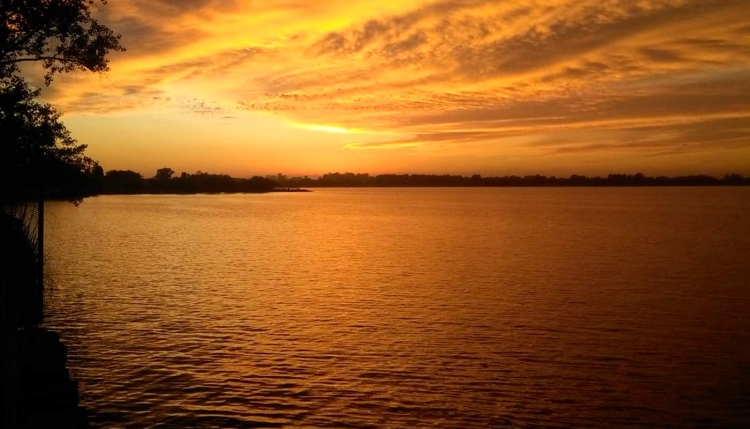 Lagunas bonarenses que invitan a la pesca y a disfrutar de la naturaleza